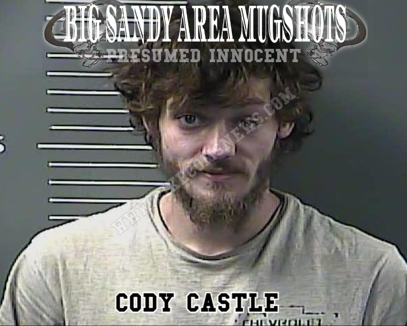 CODY CASTLE