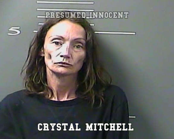 CRYSTAL MITCHELL ARREST - Big Sandy Area Mugshots News